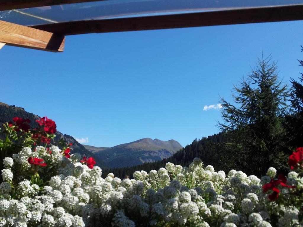 Chalet Belvedere Arabba Pokój zdjęcie